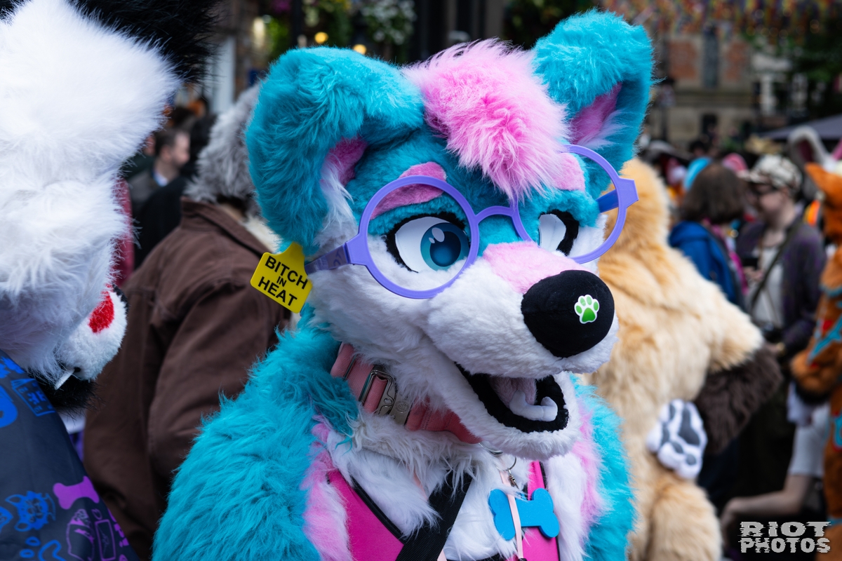 2026-06-13 MancFurs-202606-020.jpg
