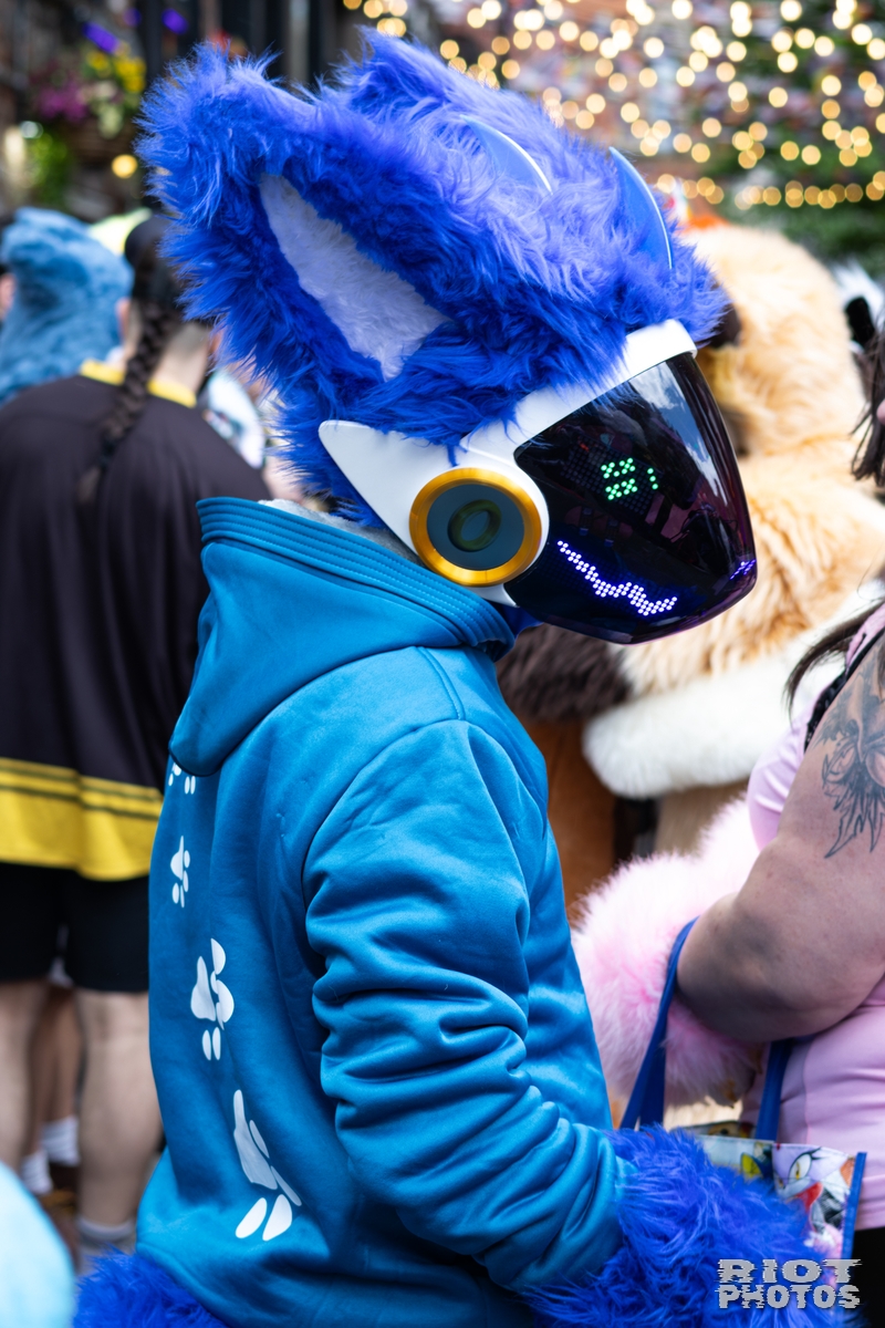 2026-06-13 MancFurs-202606-022.jpg