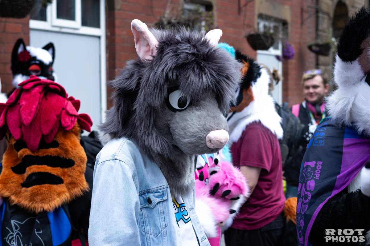 2026-06-13 MancFurs-202606-024.jpg