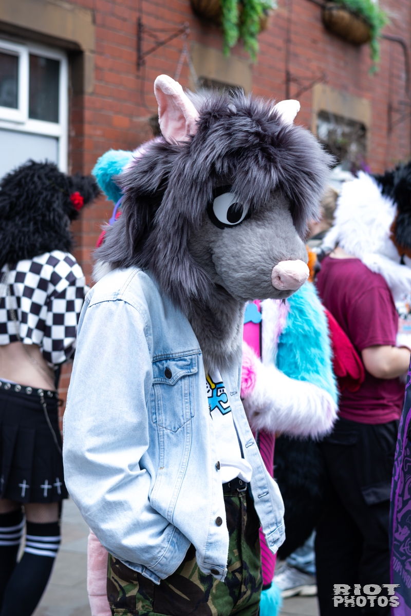 2026-06-13 MancFurs-202606-025.jpg
