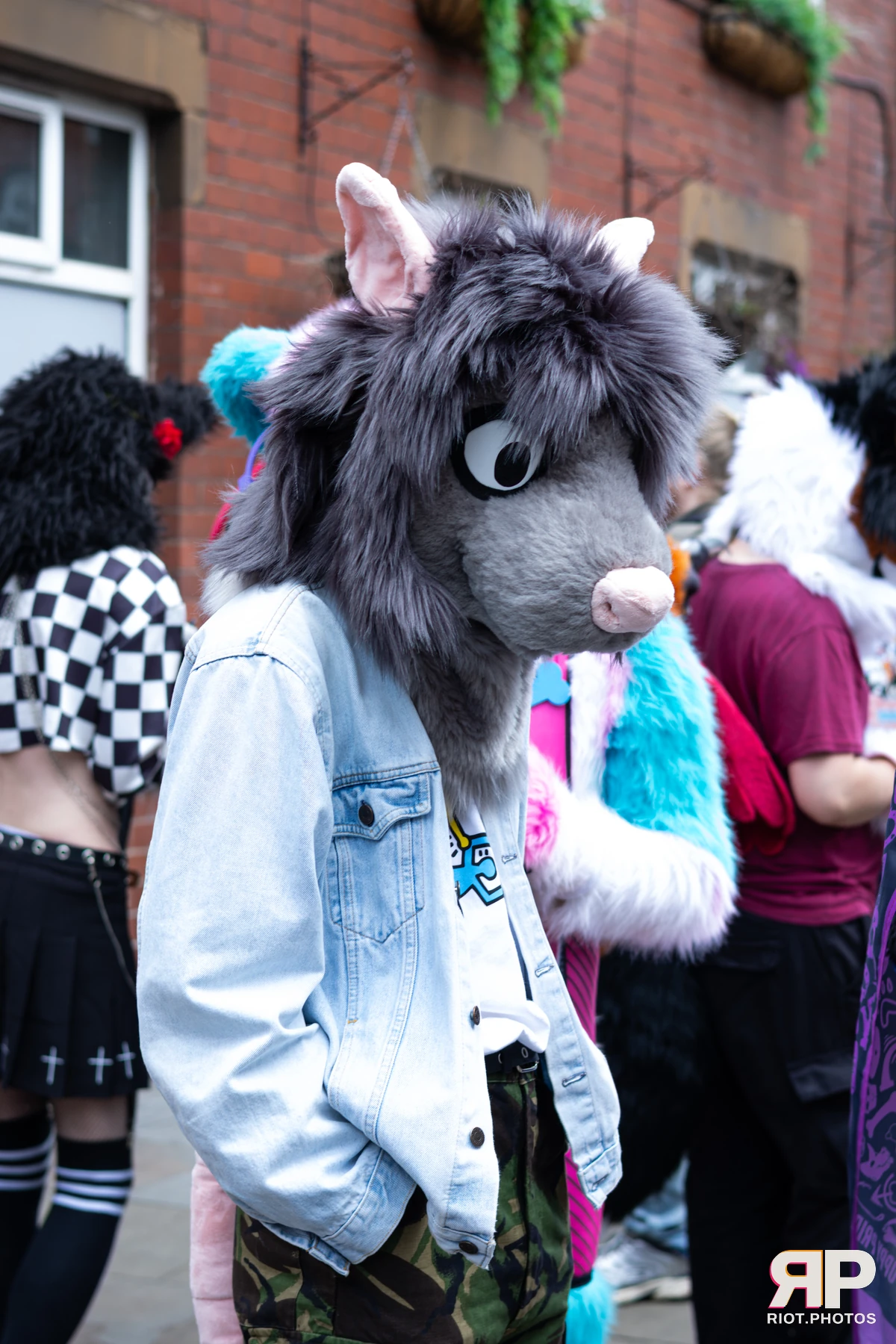 MancFurs - June, 2026 — 13 Jun 2026, Fluffy Riot photography — photo 25