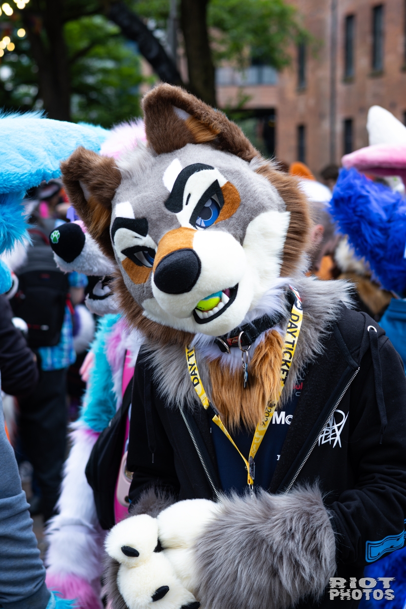 2026-06-13 MancFurs-202606-027.jpg