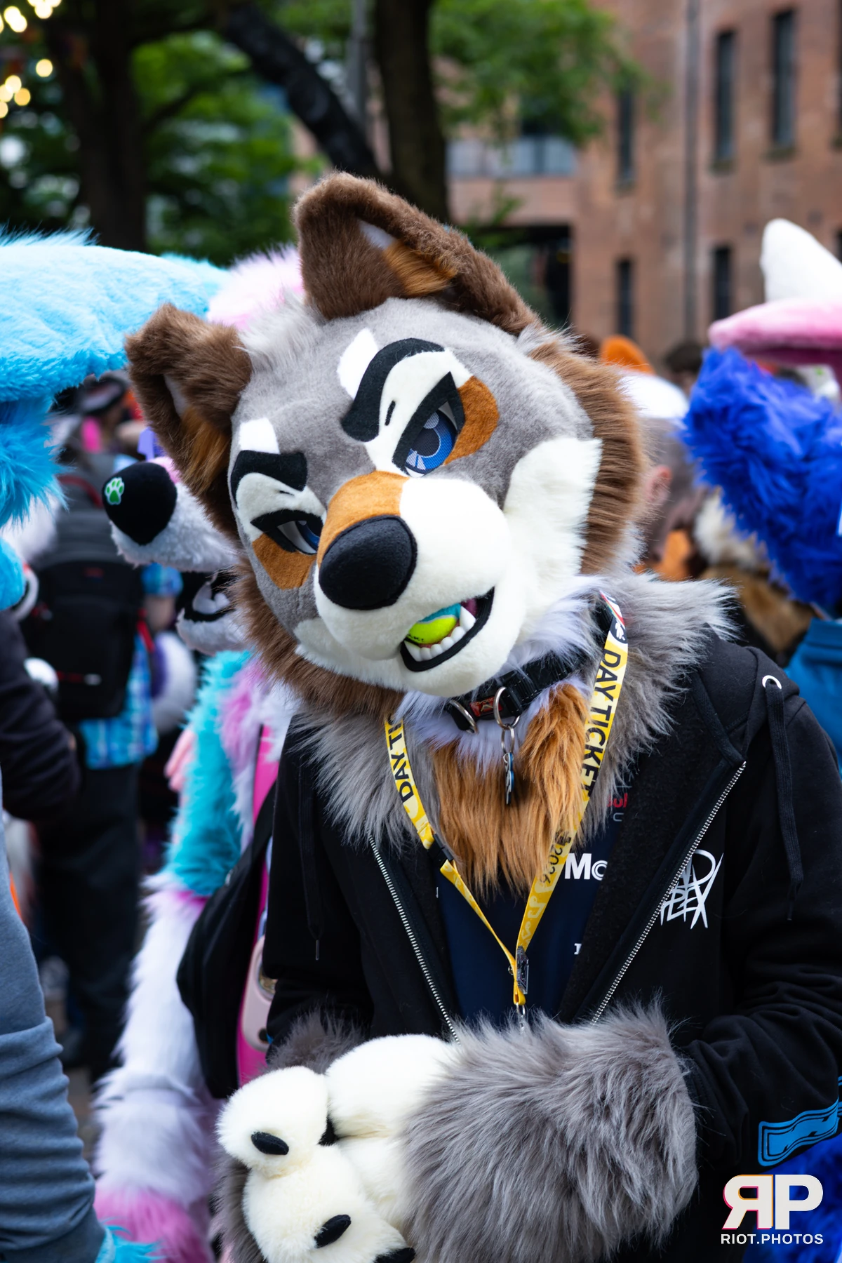 MancFurs - June, 2026 — 13 Jun 2026, Fluffy Riot photography — photo 27