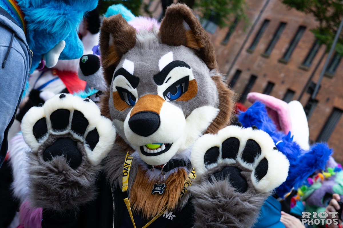 2026-06-13 MancFurs-202606-028.jpg