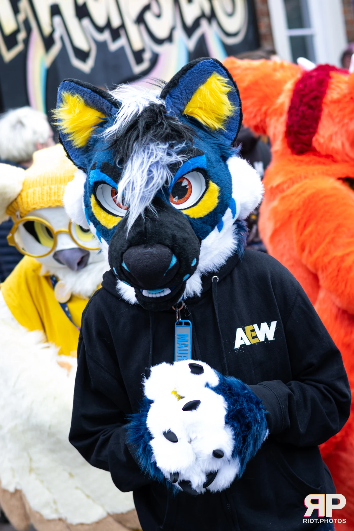 MancFurs - June, 2026 — 13 Jun 2026, Fluffy Riot photography — photo 30