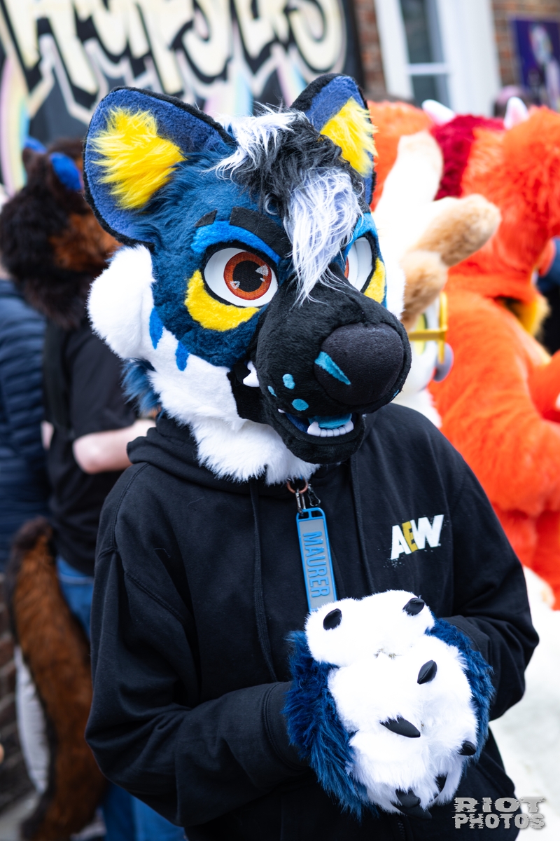 2026-06-13 MancFurs-202606-031.jpg