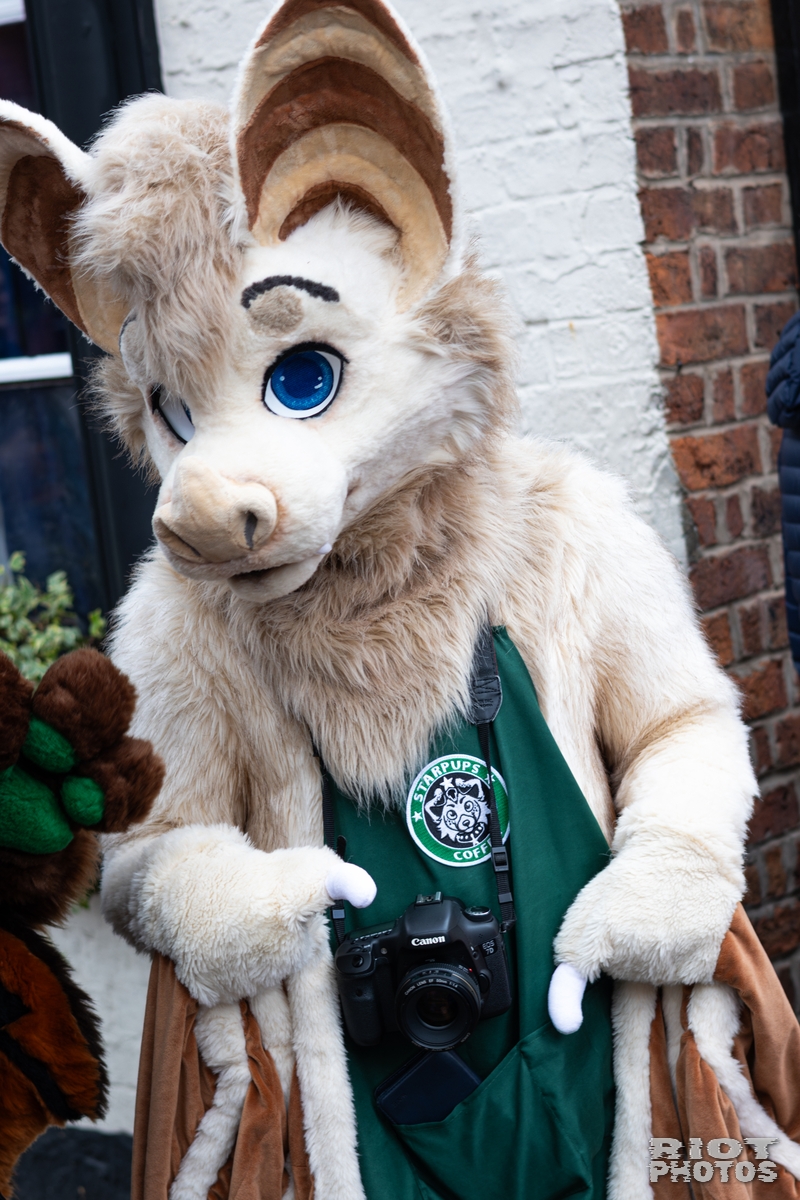 2026-06-13 MancFurs-202606-032.jpg