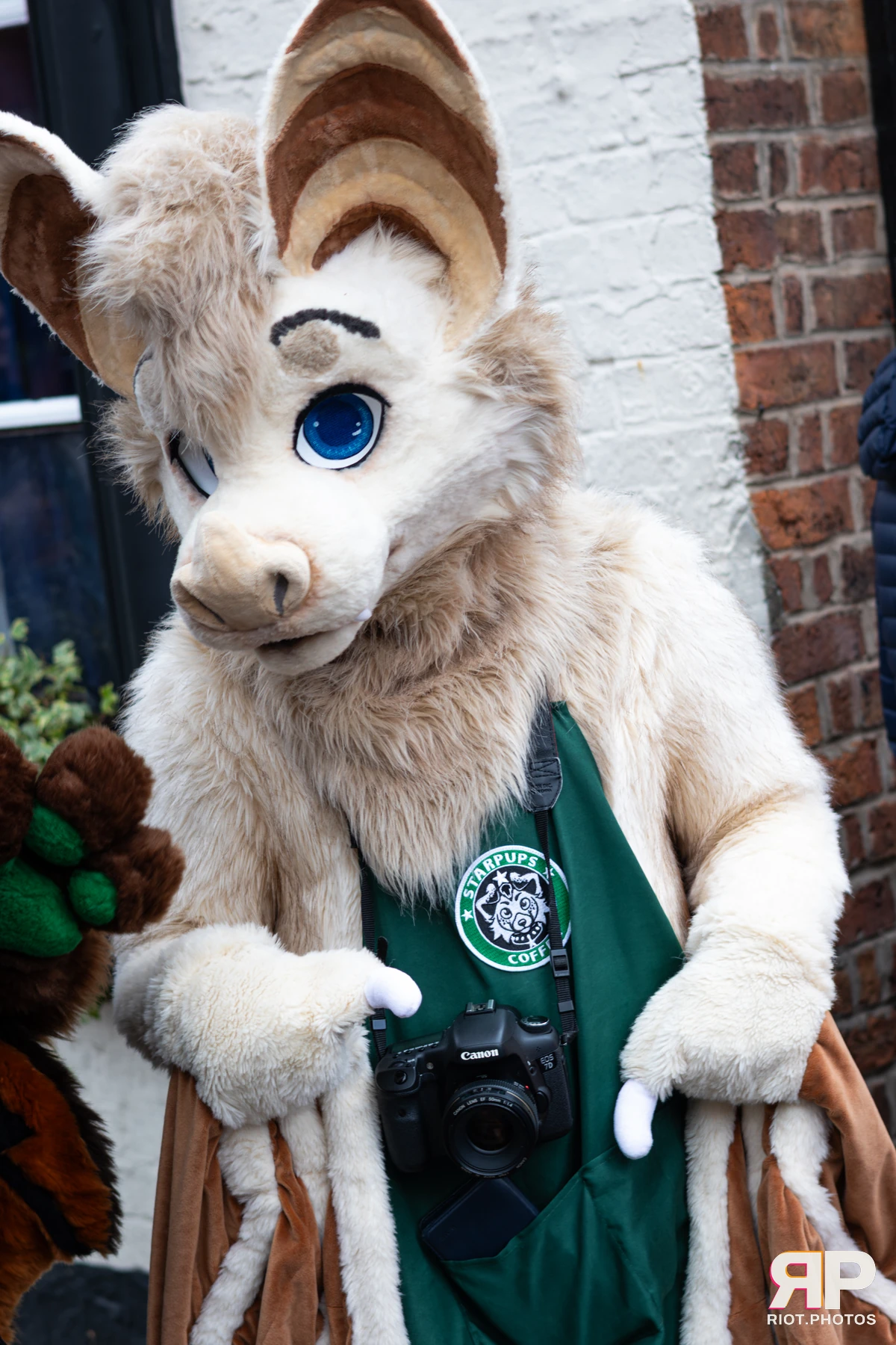MancFurs - June, 2026 — 13 Jun 2026, Fluffy Riot photography — photo 32