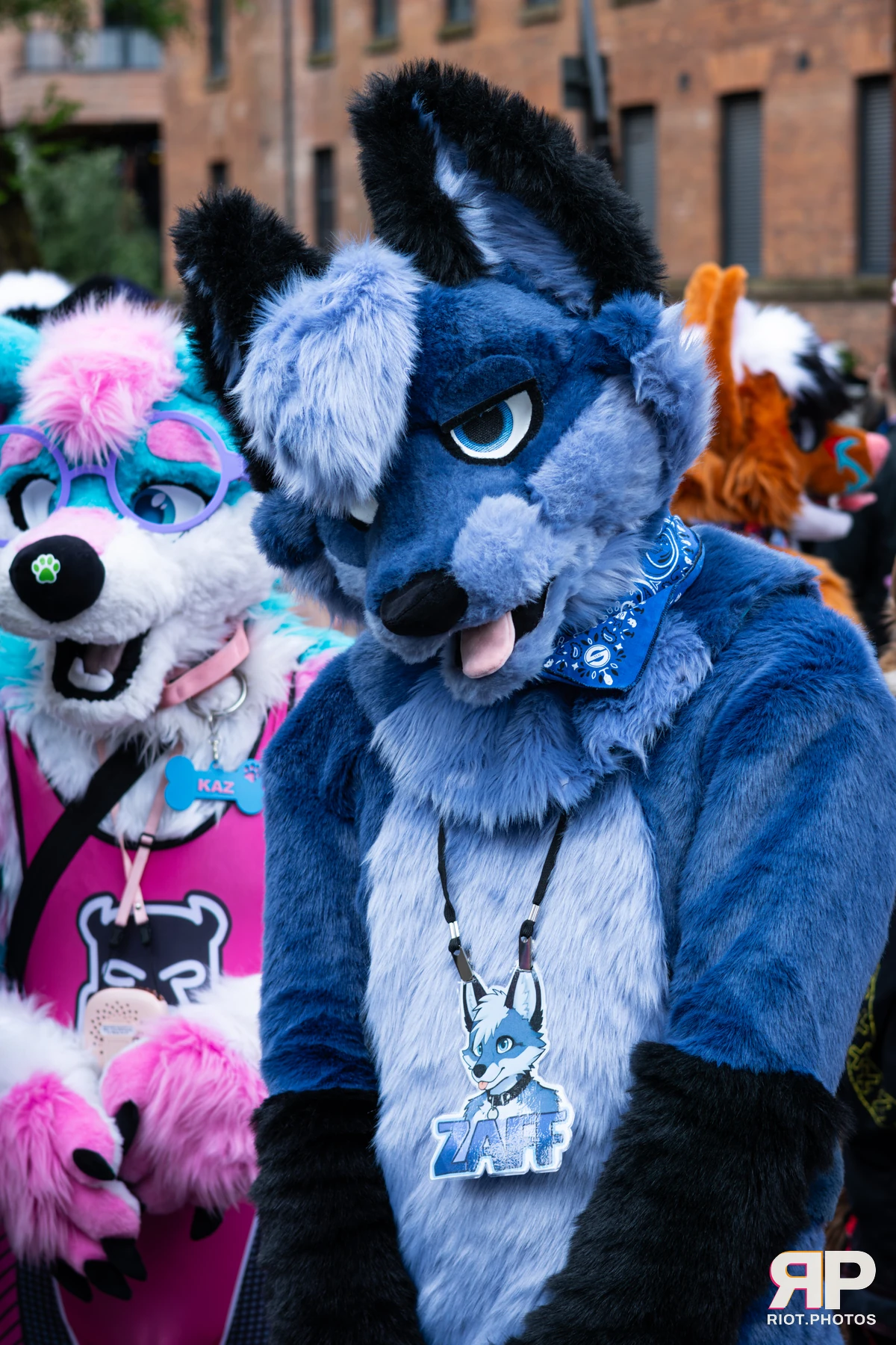 Zaff — furry & pup photography by Fluffy Riot — photo 2