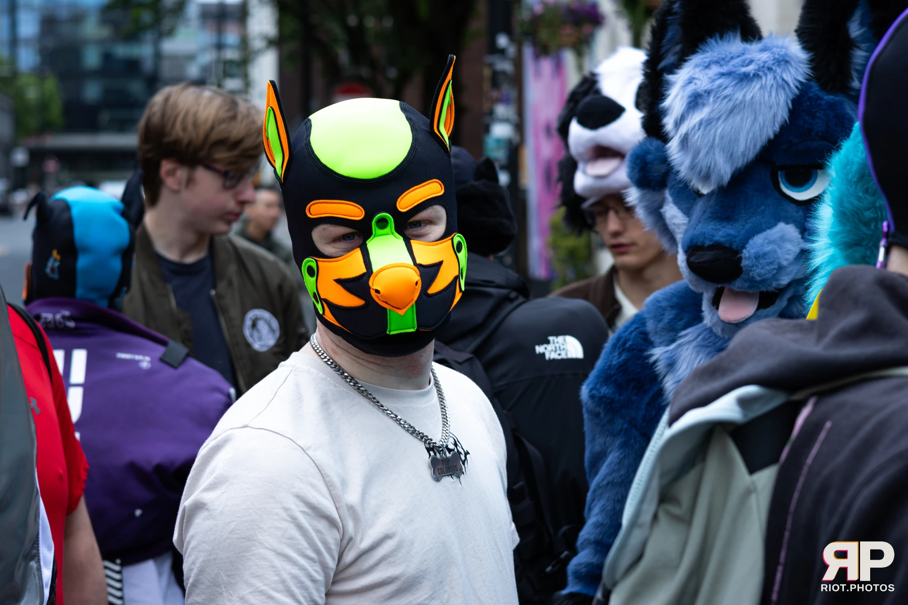 Pup Colossos — furry & pup photography by Fluffy Riot — photo 3