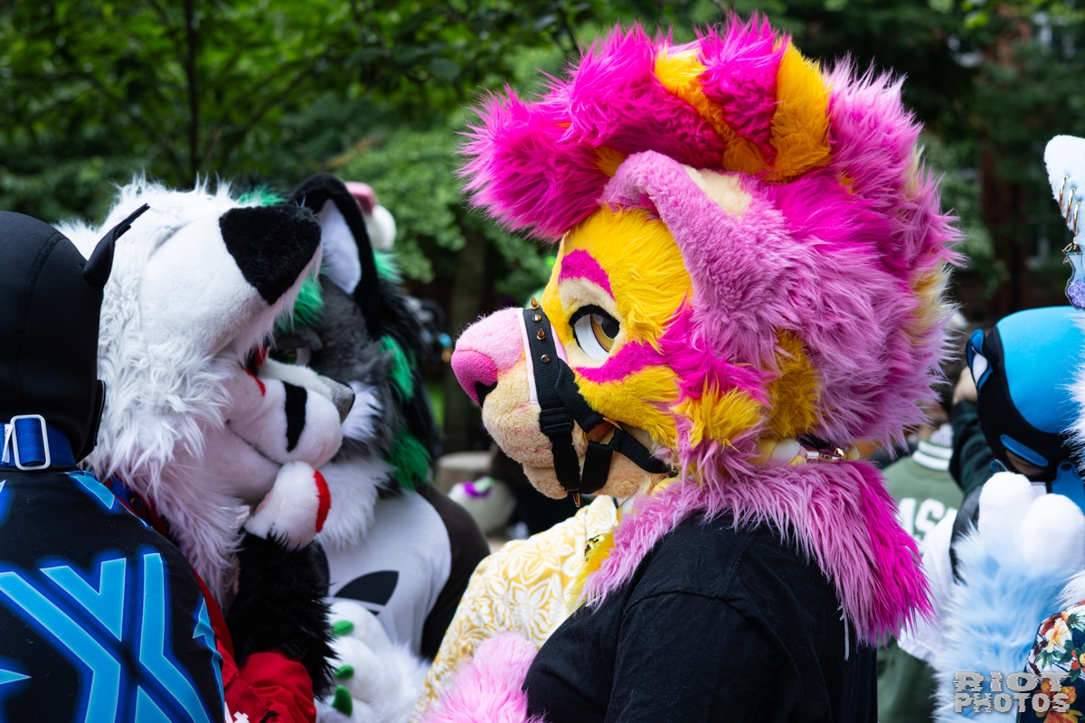 2026-06-13 MancFurs-202606-039.jpg