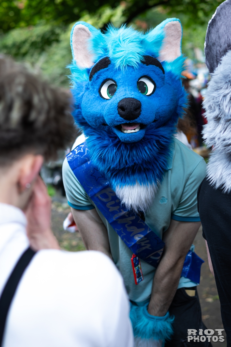 2026-06-13 MancFurs-202606-040.jpg