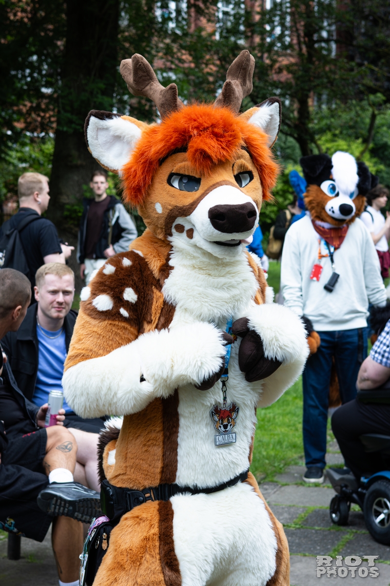 2026-06-13 MancFurs-202606-041.jpg