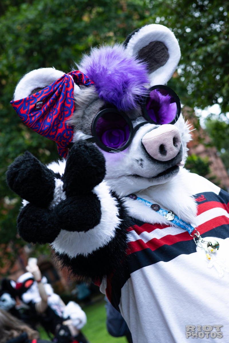 2026-06-13 MancFurs-202606-042.jpg