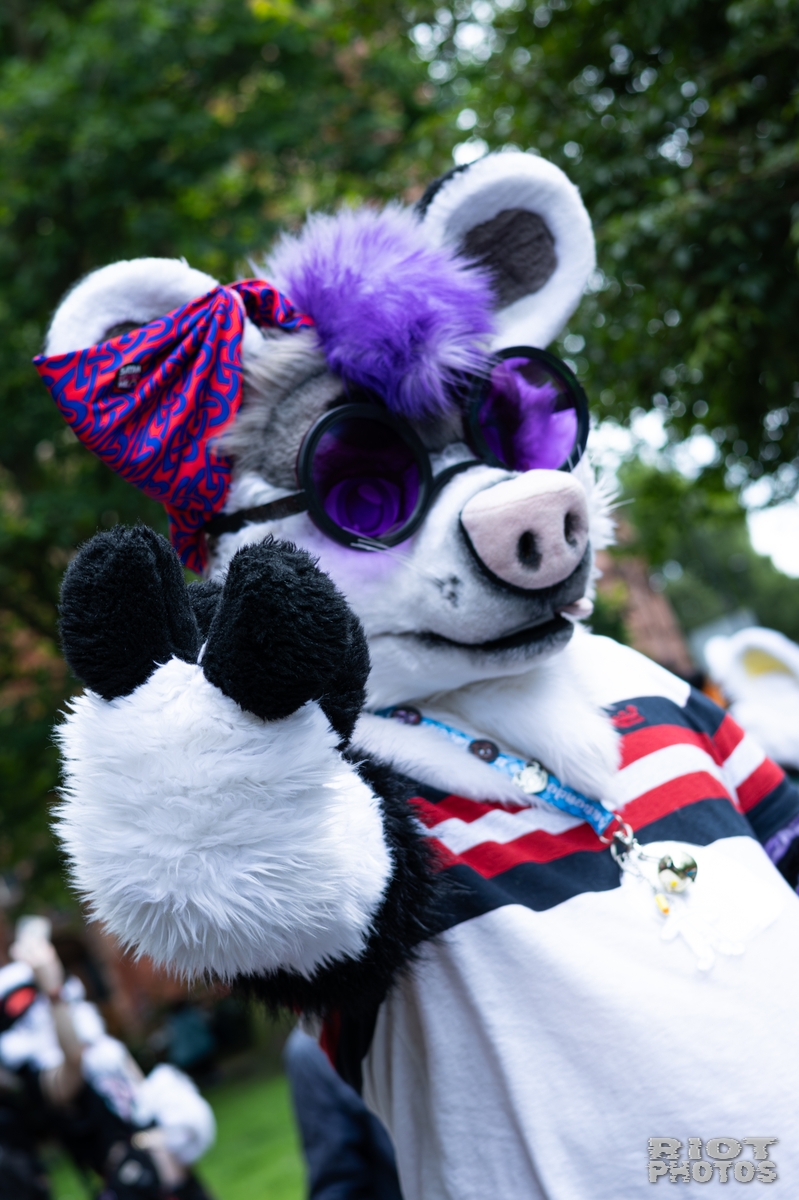2026-06-13 MancFurs-202606-043.jpg