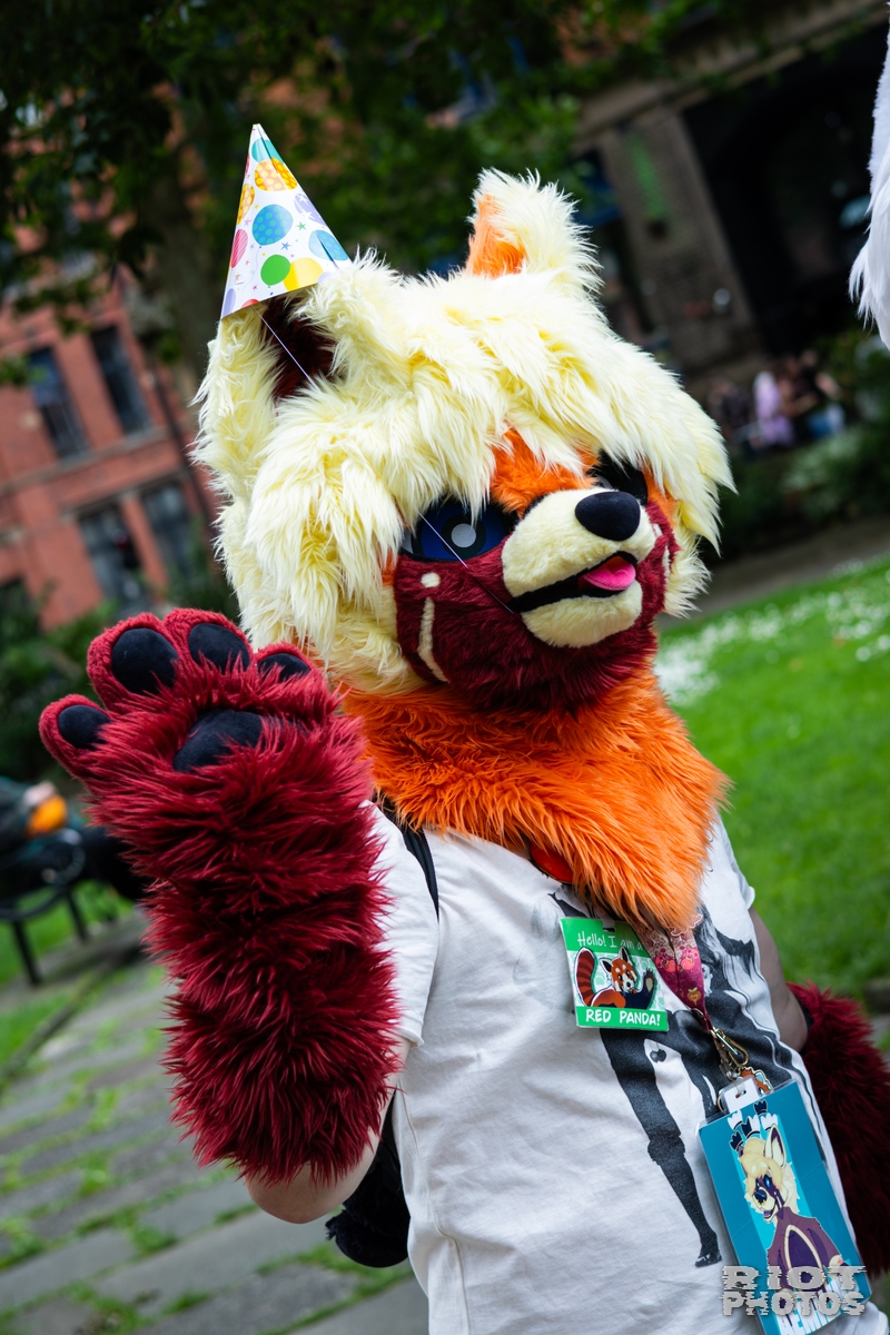 2026-06-13 MancFurs-202606-046.jpg
