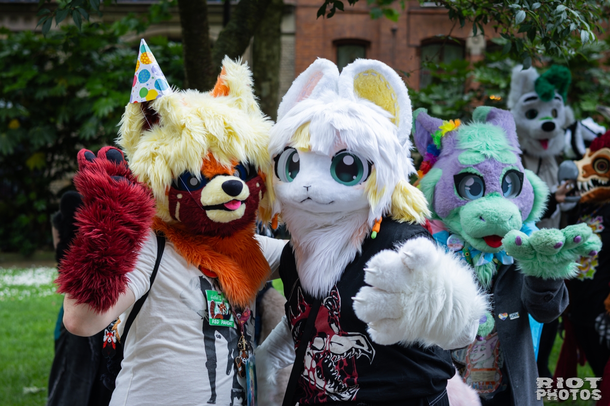 2026-06-13 MancFurs-202606-047.jpg