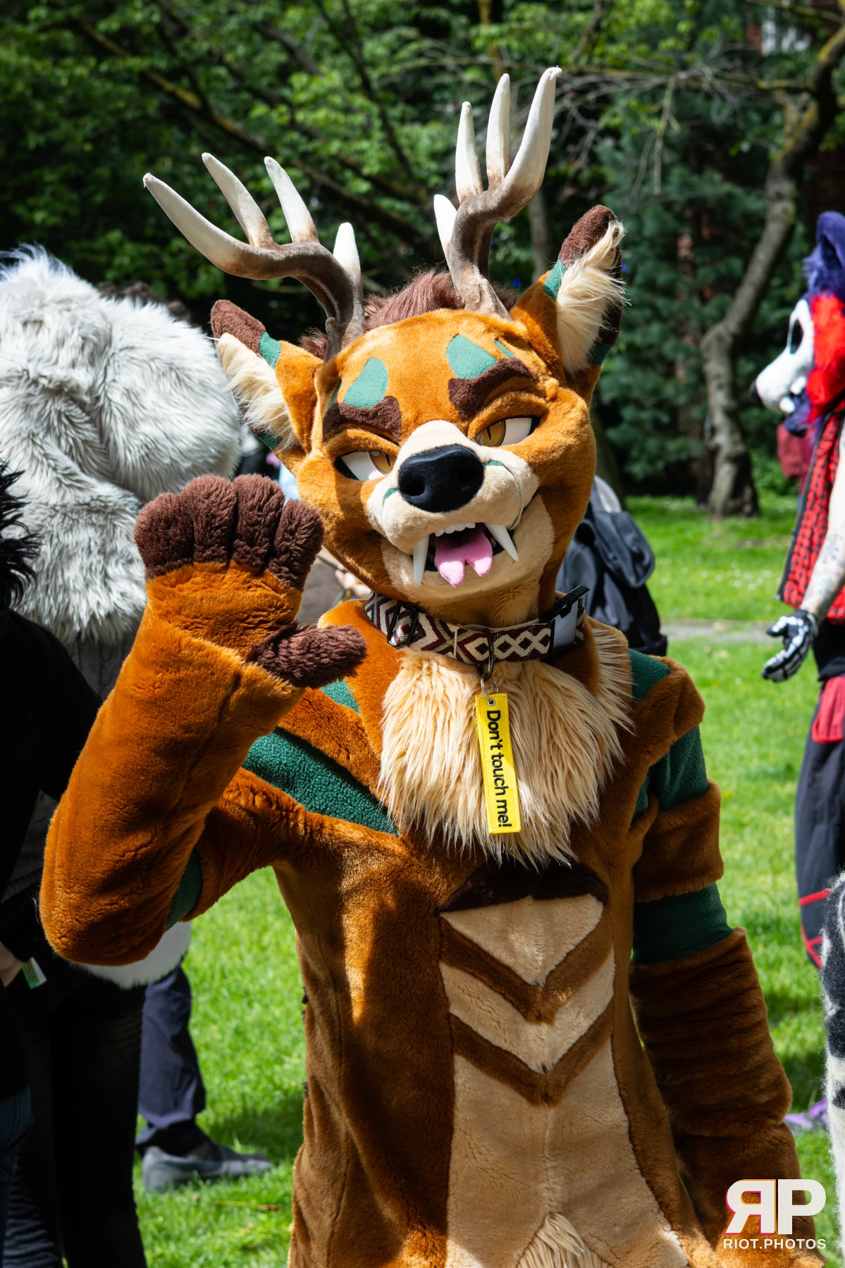 MancFurs - June, 2026 — 13 Jun 2026, Fluffy Riot photography — photo 50