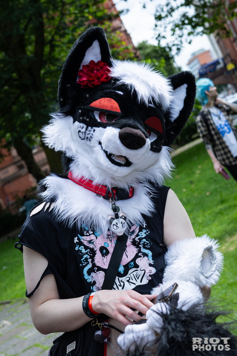 2026-06-13 MancFurs-202606-051.jpg