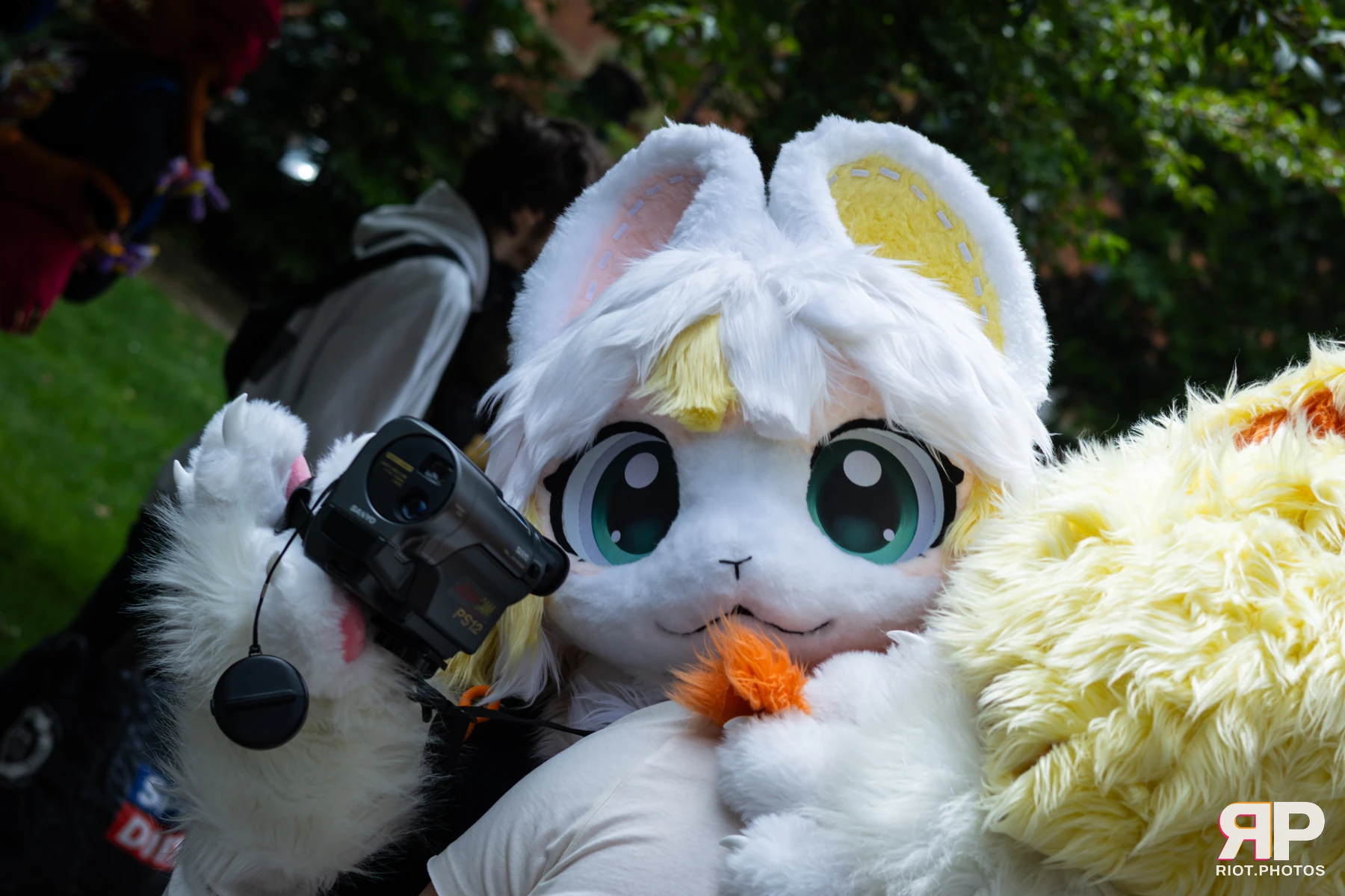 MancFurs - June, 2026 — 13 Jun 2026, Fluffy Riot photography — photo 52
