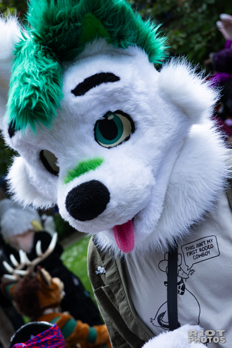 2026-06-13 MancFurs-202606-054.jpg
