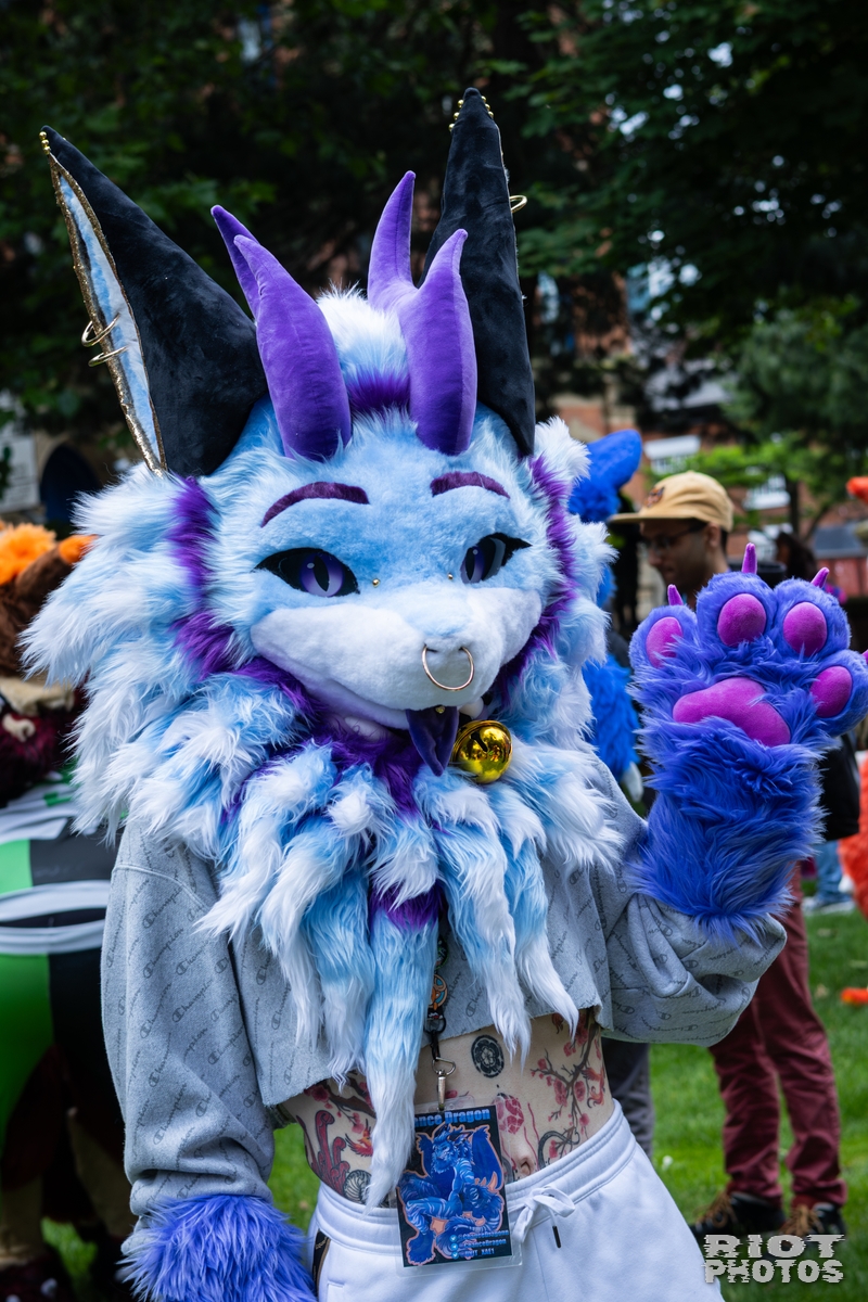 2026-06-13 MancFurs-202606-056.jpg