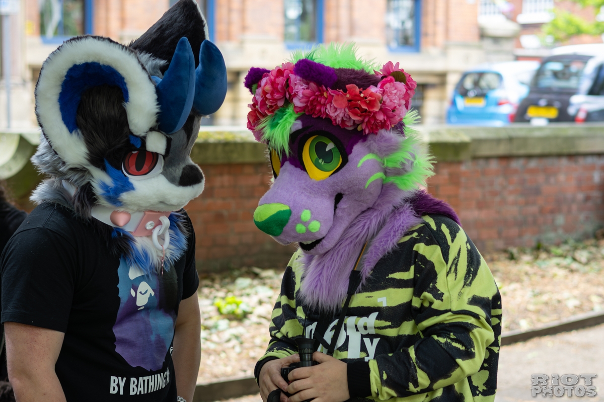 2026-06-13 MancFurs-202606-062.jpg