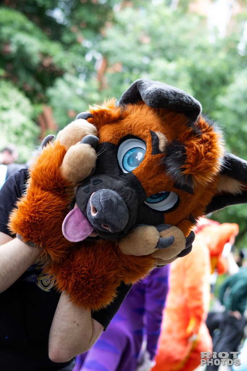 MancFurs - June, 2026