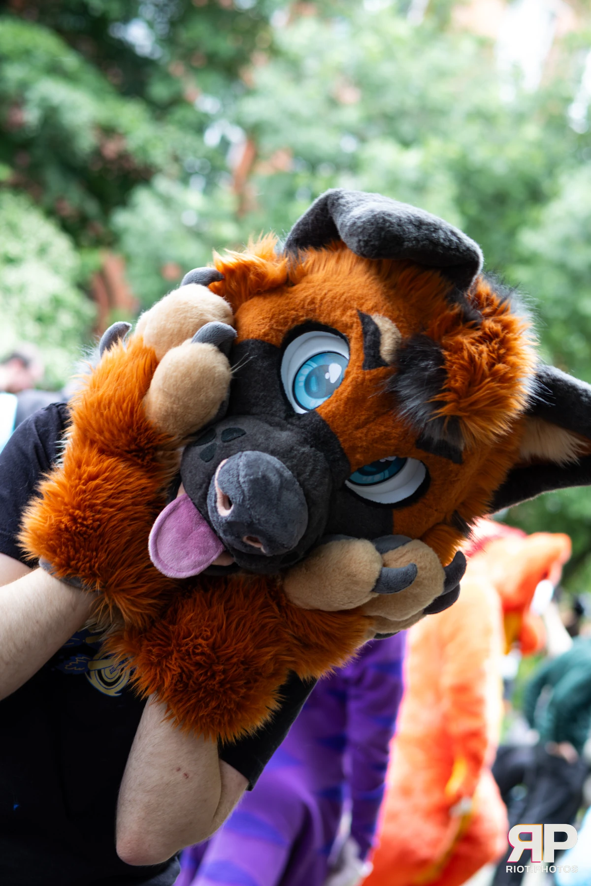 MancFurs - June, 2026