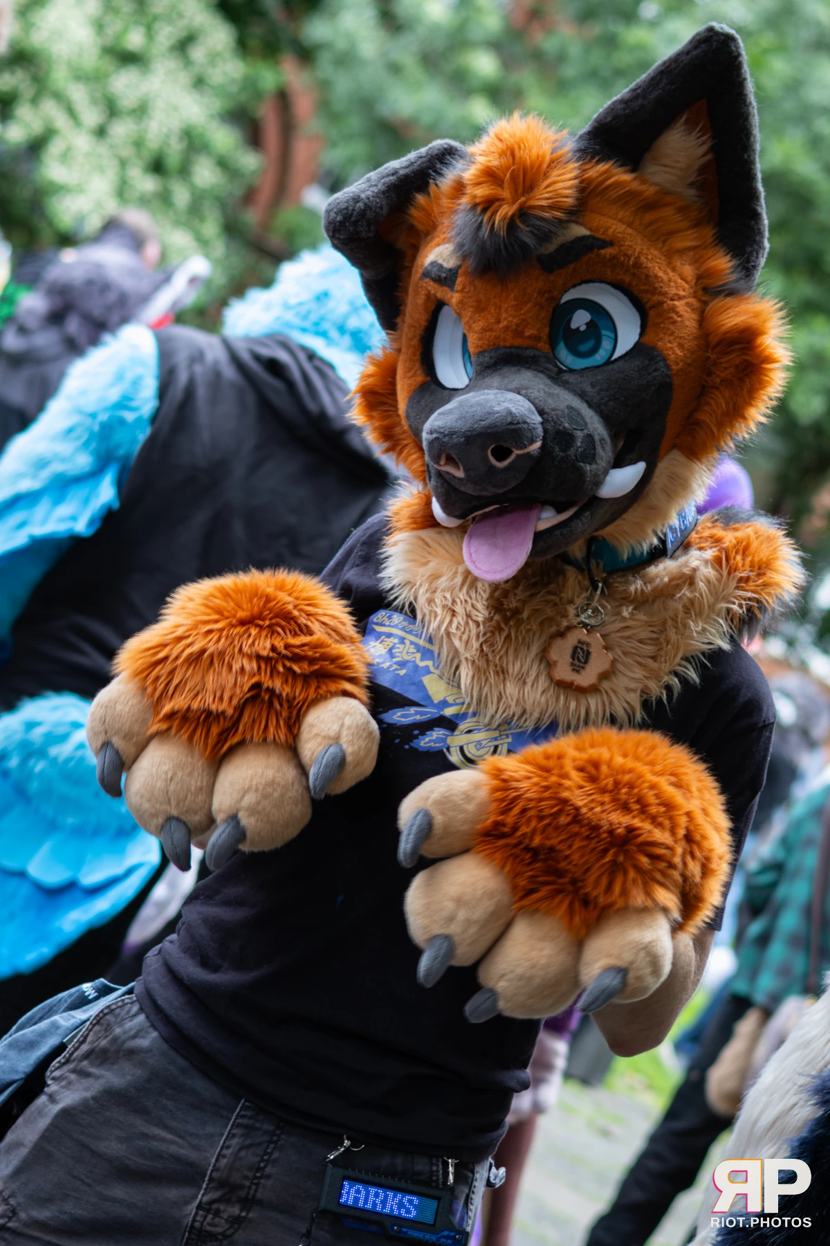 MancFurs - June, 2026 — 13 Jun 2026, Fluffy Riot photography — photo 64