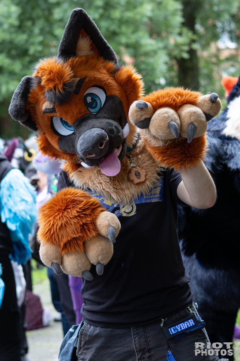 2026-06-13 MancFurs-202606-065.jpg