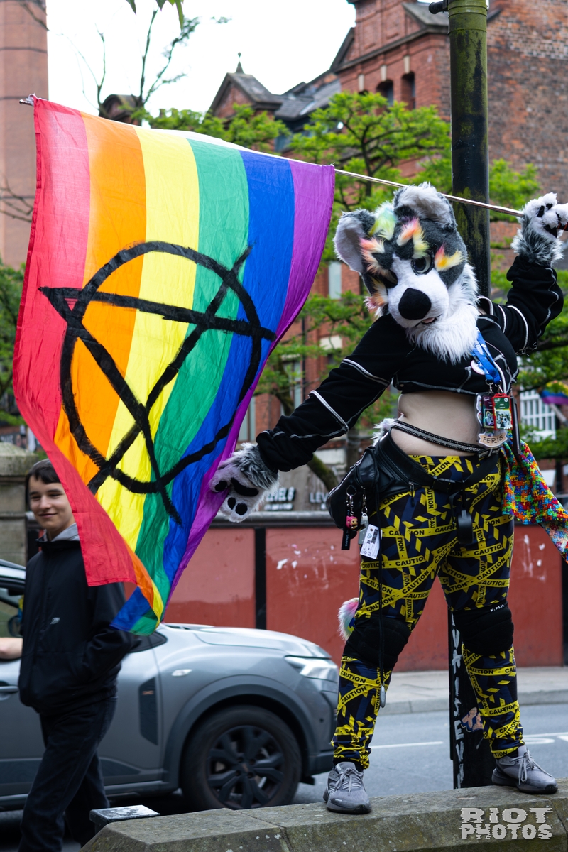 2026-06-13 MancFurs-202606-066.jpg