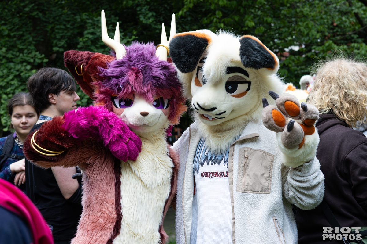 2026-06-13 MancFurs-202606-071.jpg