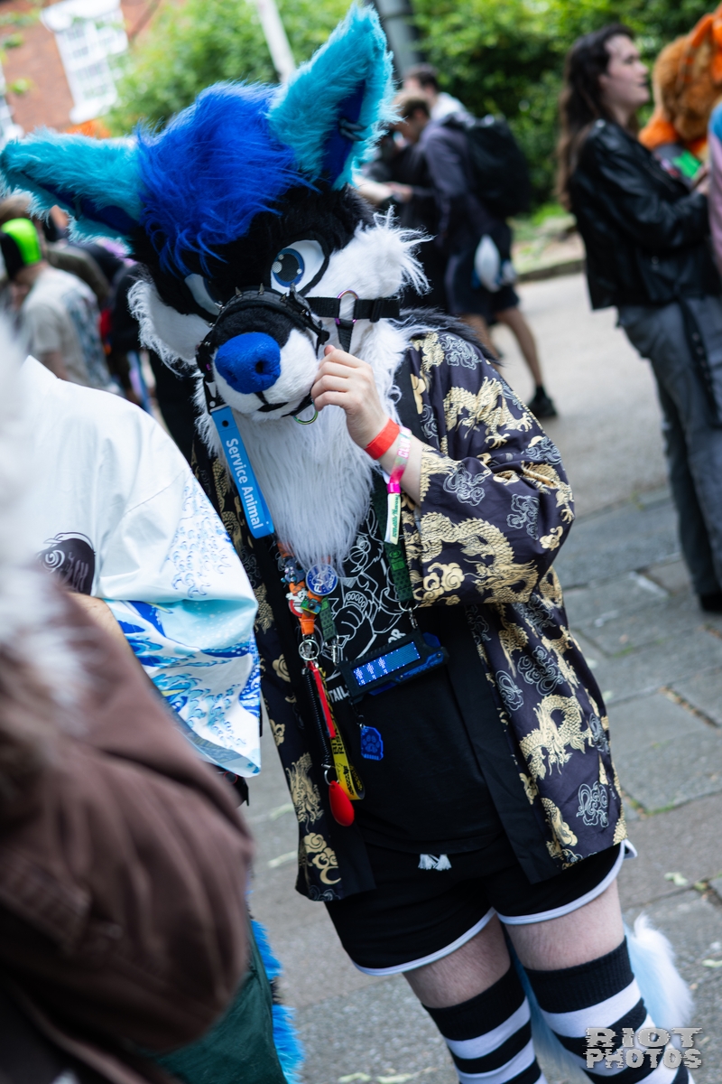 2026-06-13 MancFurs-202606-073.jpg