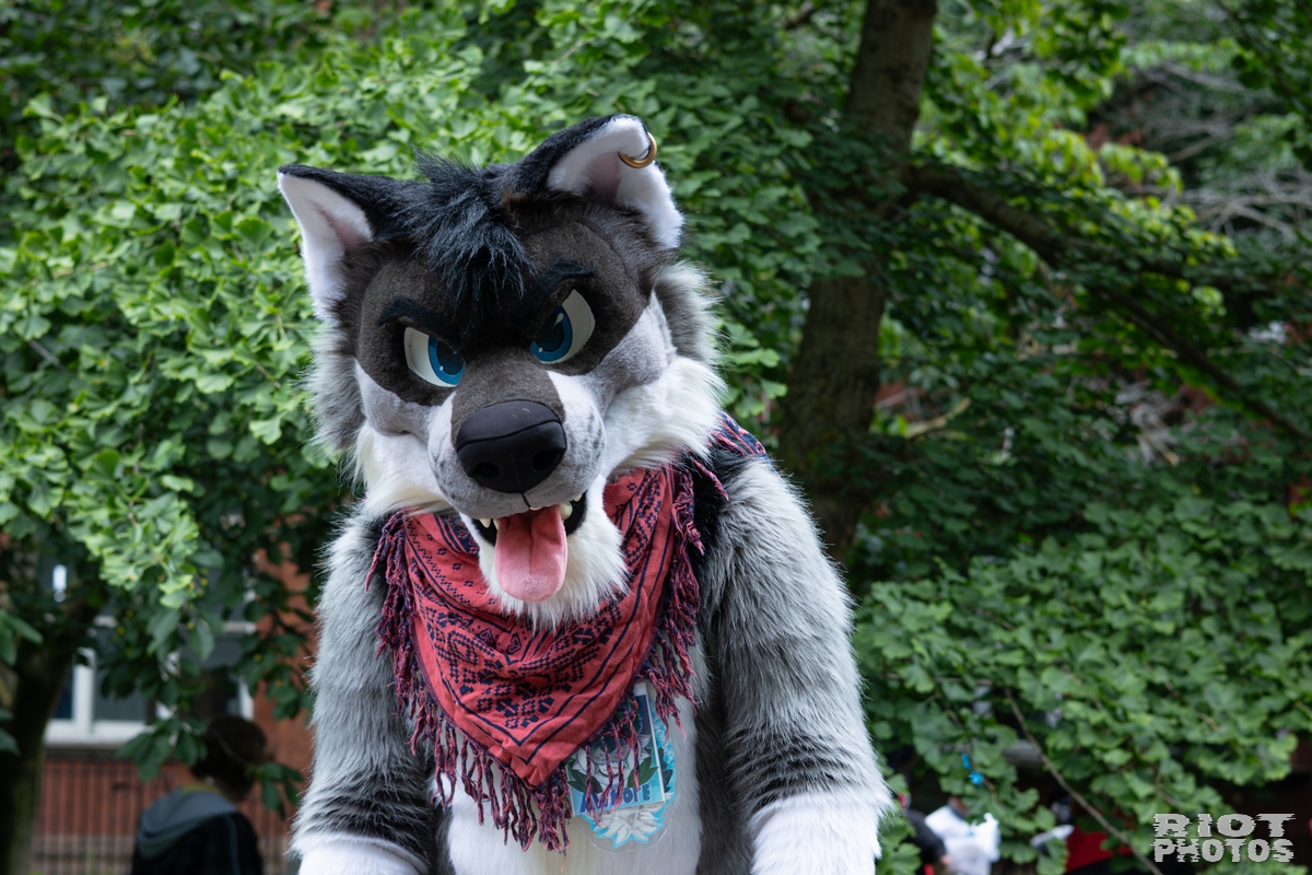 2026-06-13 MancFurs-202606-074.jpg