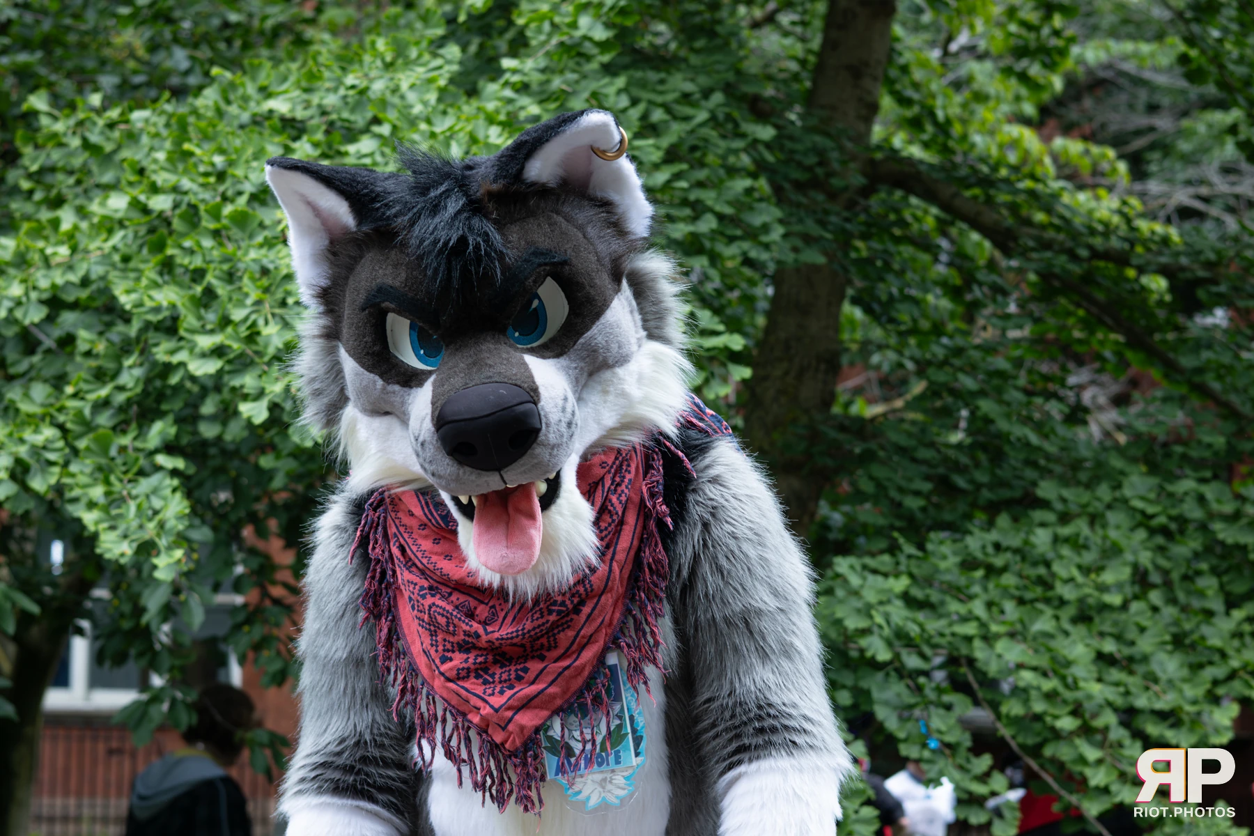 MancFurs - June, 2026 — 13 Jun 2026, Fluffy Riot photography — photo 74