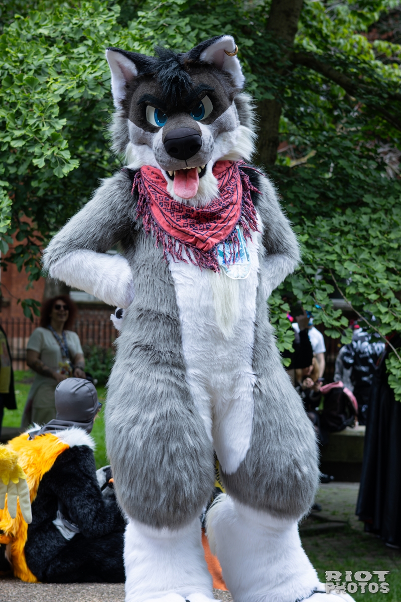 2026-06-13 MancFurs-202606-075.jpg