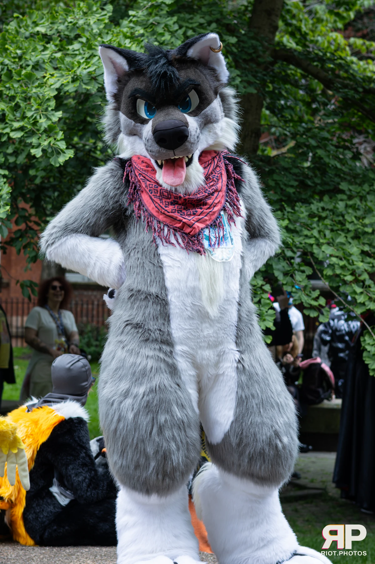 MancFurs - June, 2026 — 13 Jun 2026, Fluffy Riot photography — photo 75