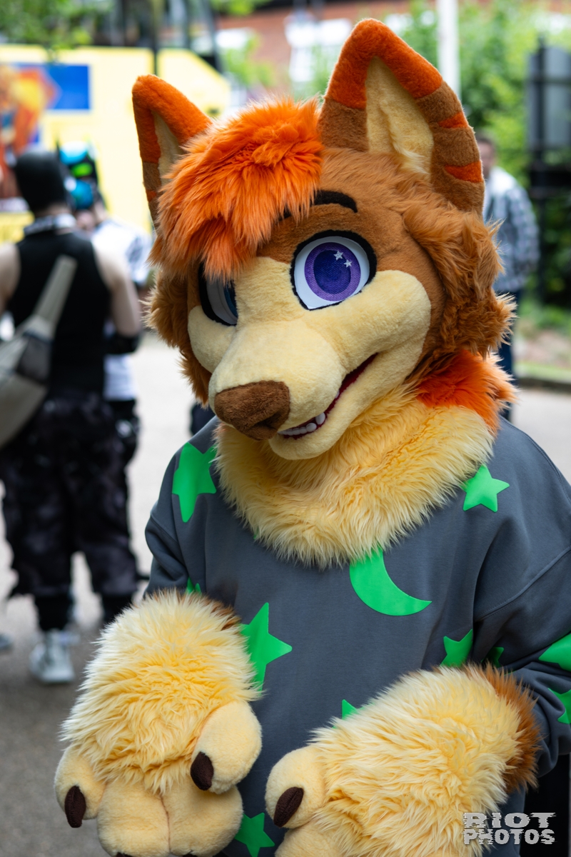 2026-06-13 MancFurs-202606-076.jpg