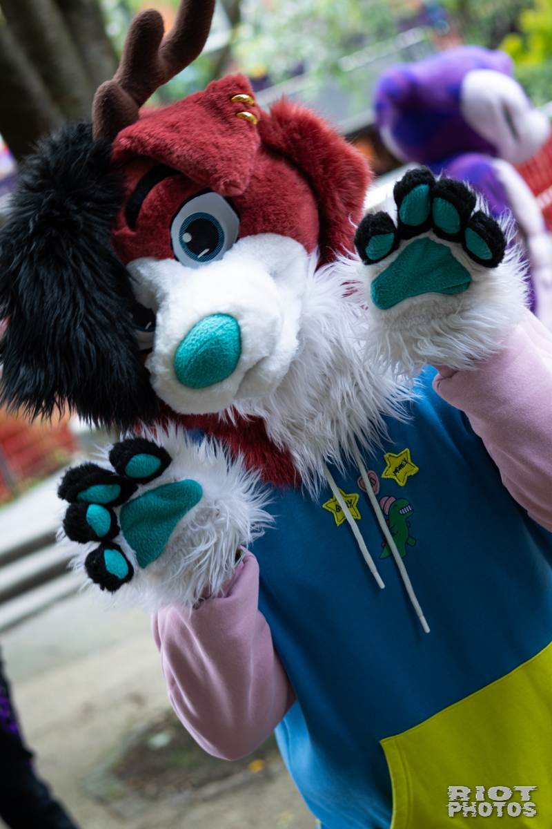 2026-06-13 MancFurs-202606-077.jpg