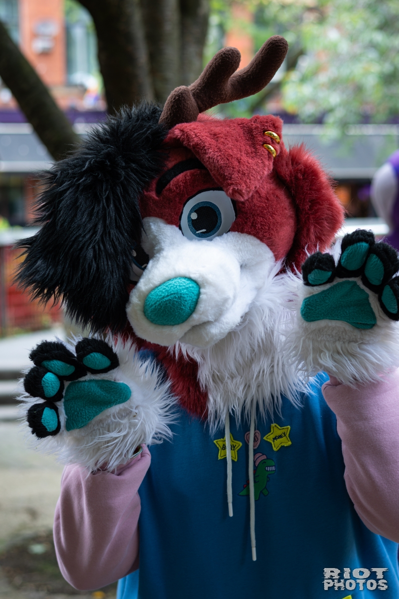 2026-06-13 MancFurs-202606-078.jpg