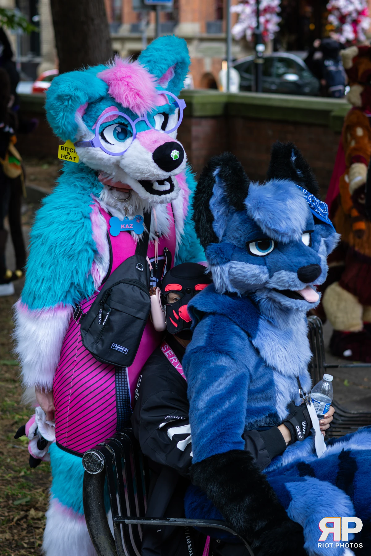 Pup TayTay — furry & pup photography by Fluffy Riot — photo 2