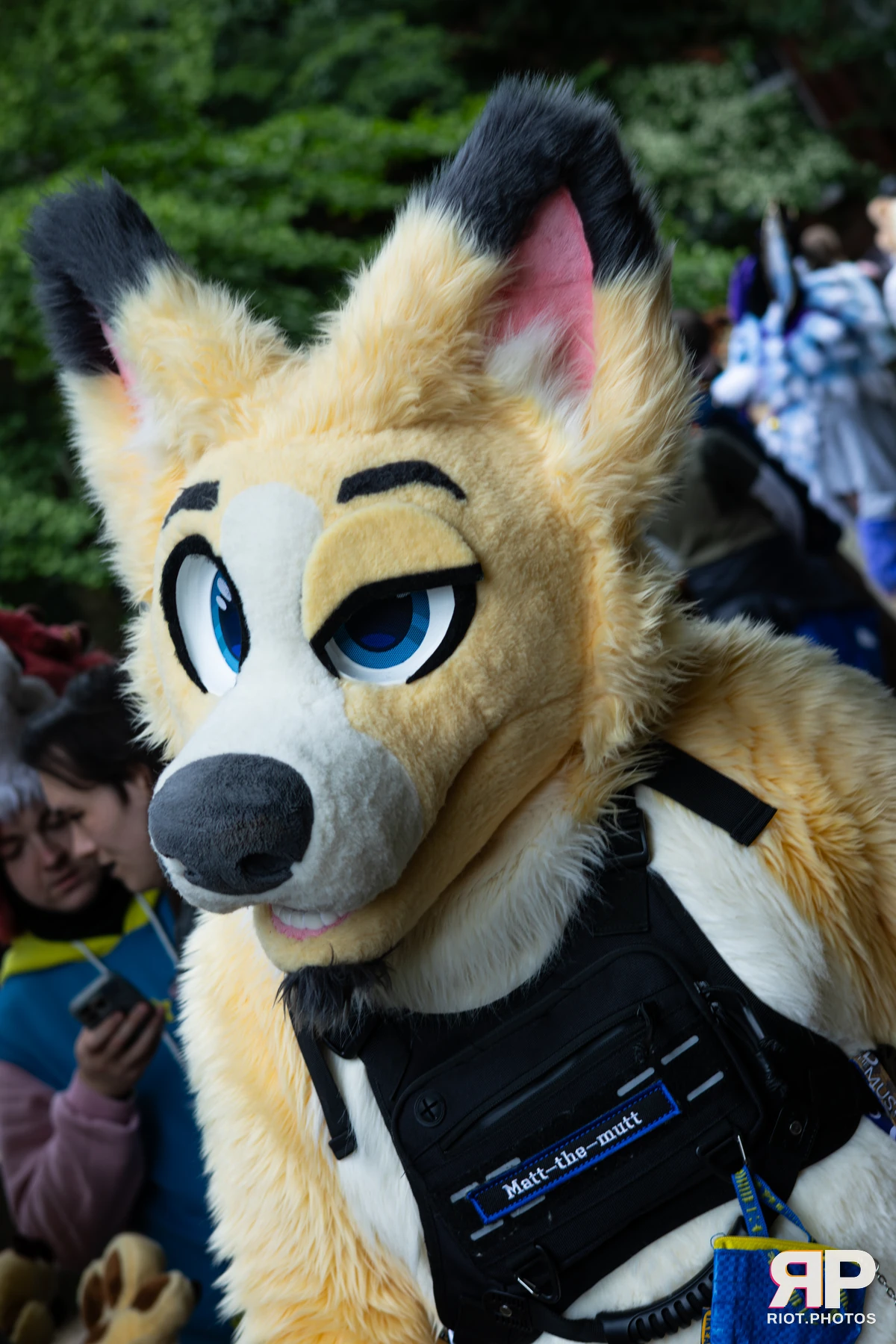 MancFurs - June, 2026 — 13 Jun 2026, Fluffy Riot photography — photo 81
