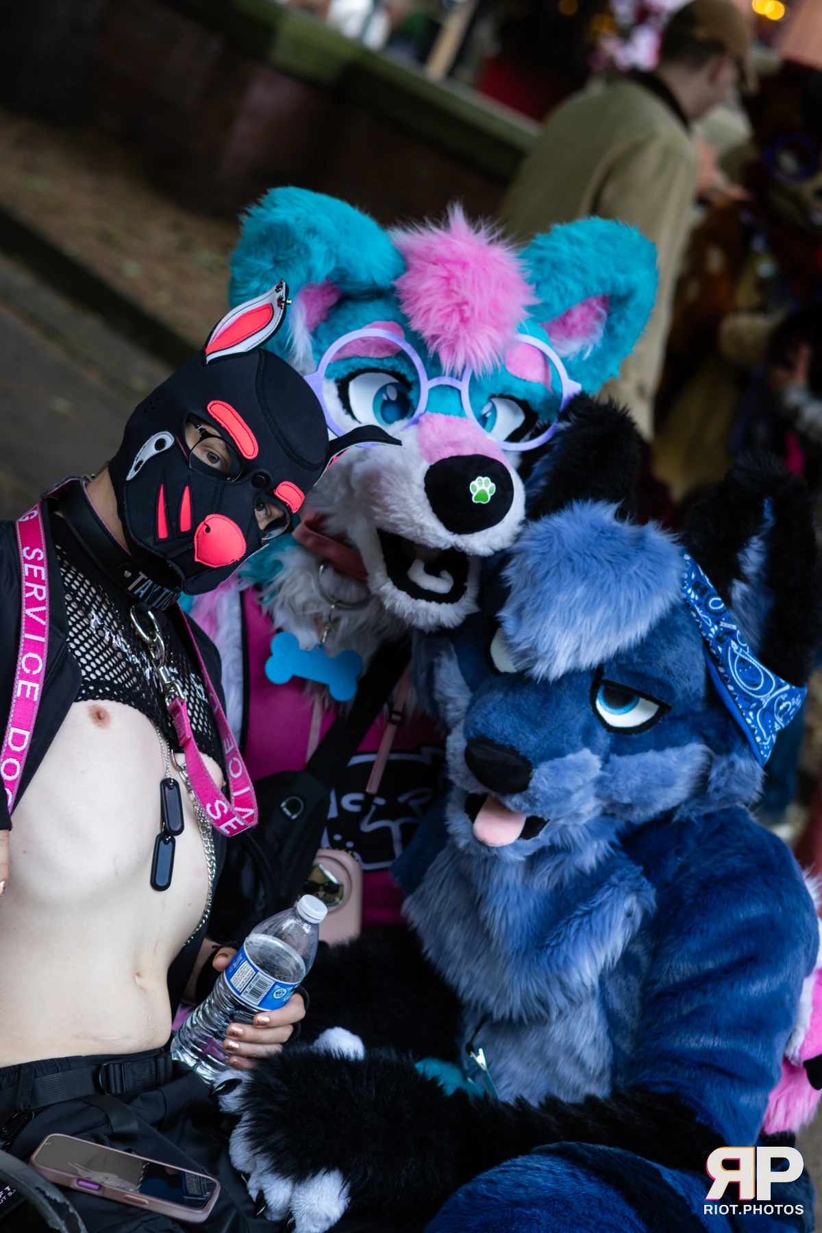 Pup TayTay — furry & pup photography by Fluffy Riot — photo 3