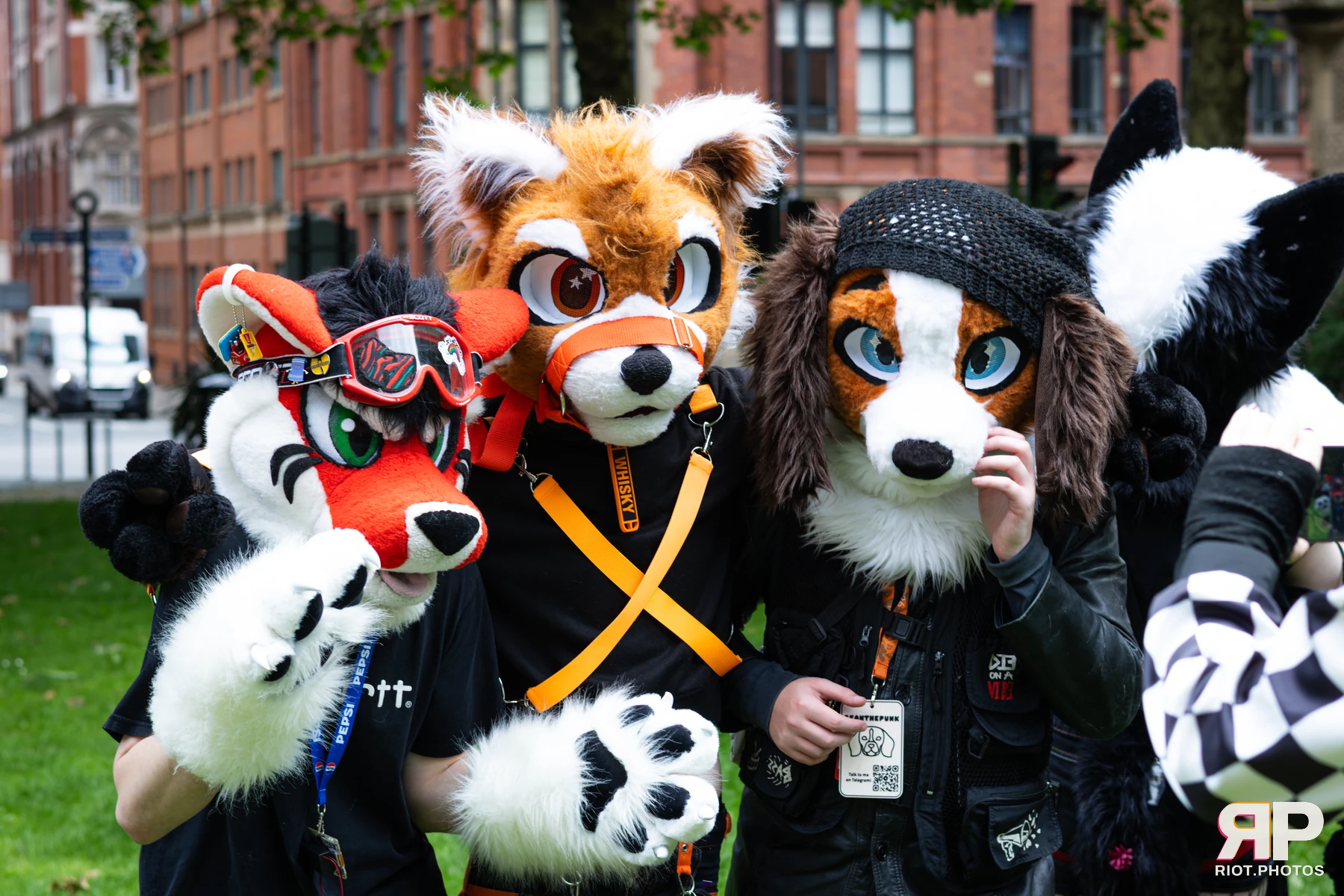 MancFurs - June, 2026 — 13 Jun 2026, Fluffy Riot photography — photo 86