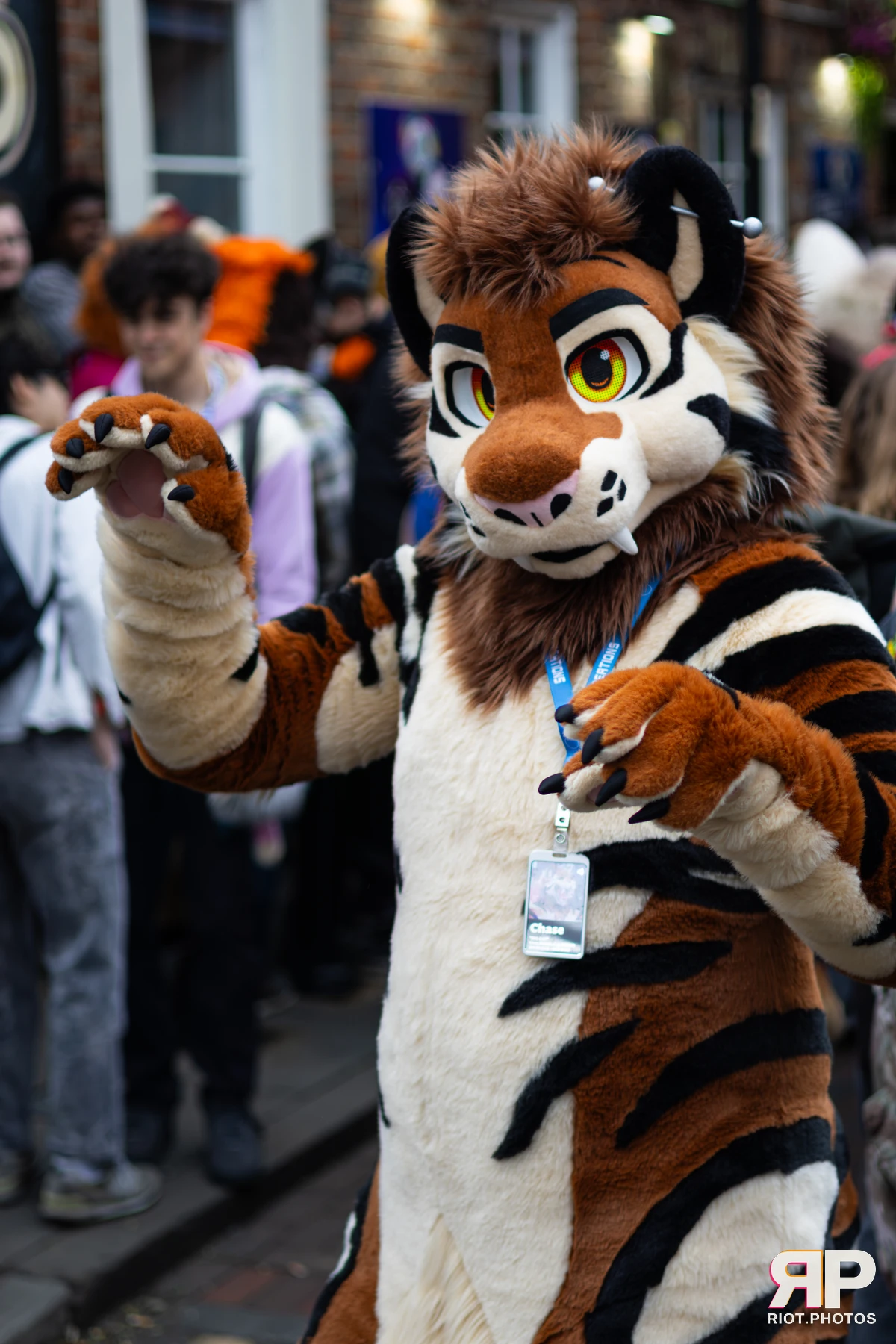 MancFurs - June, 2026 — 13 Jun 2026, Fluffy Riot photography — photo 91
