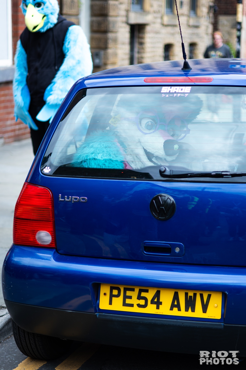 2026-06-13 MancFurs-202606-092.jpg