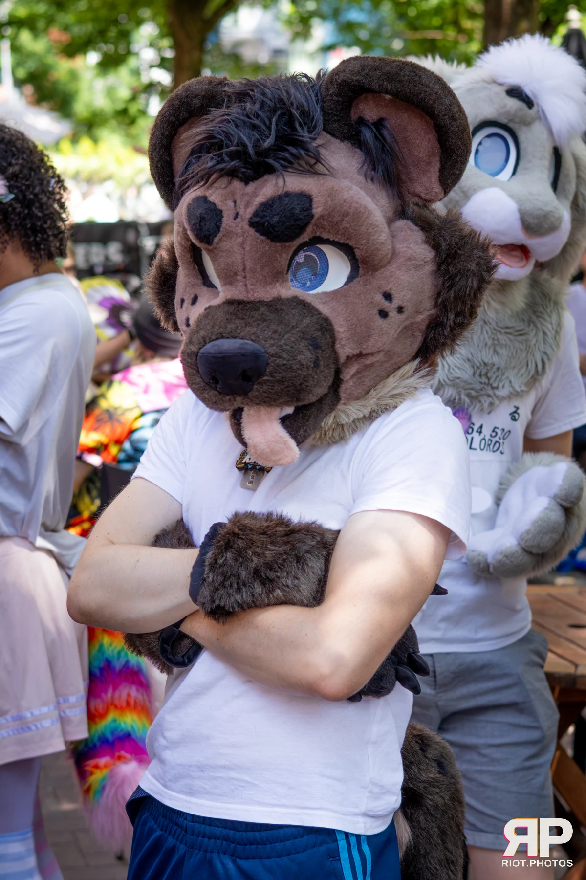 MancFurs - July, 2026 — 11 Jul 2026, Fluffy Riot photography — photo 1