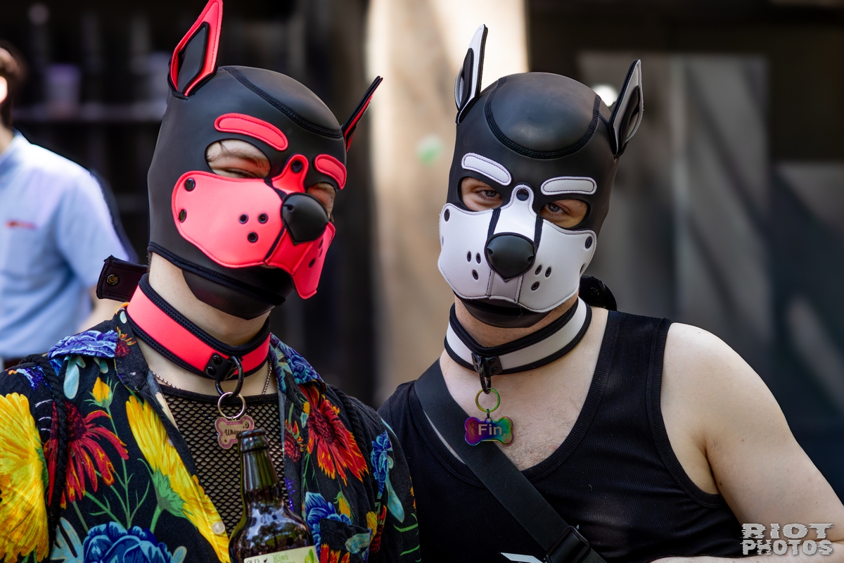 2026-07-11 MancFurs-202607-002.jpg
