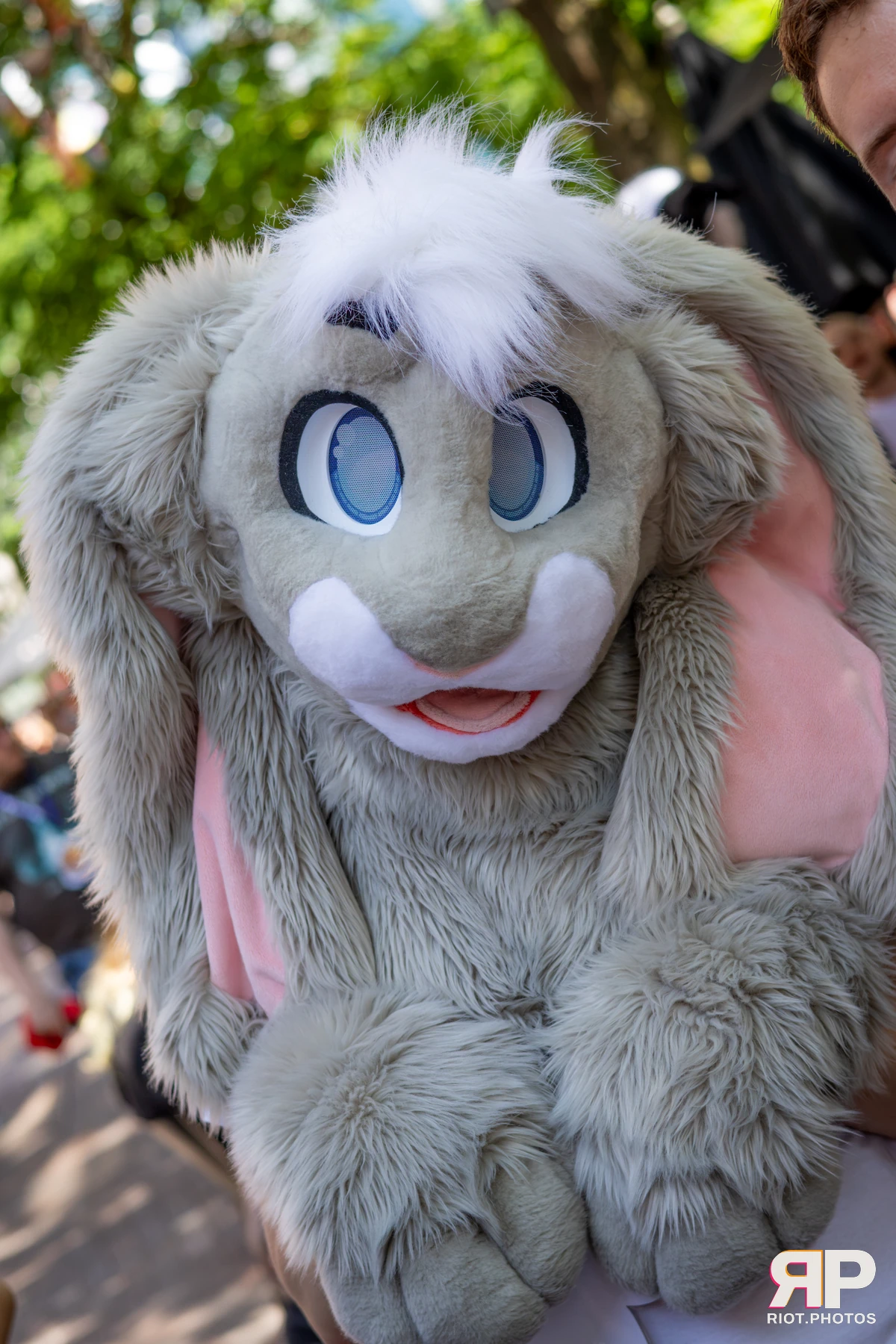 MancFurs - July, 2026 — 11 Jul 2026, Fluffy Riot photography — photo 3